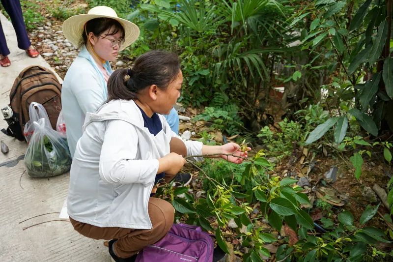 威廉希尔中文官网