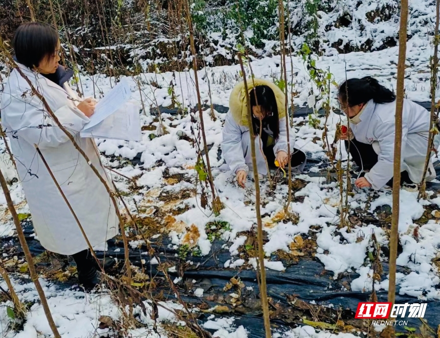 威廉希尔中文官网