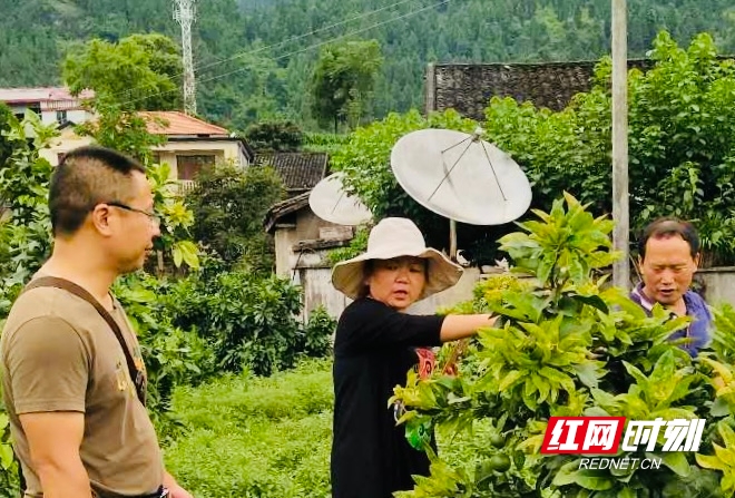 威廉希尔中文官网